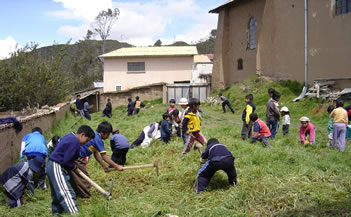 Arreglando el jardín